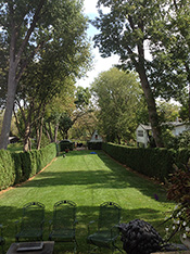 Lawn Care Services